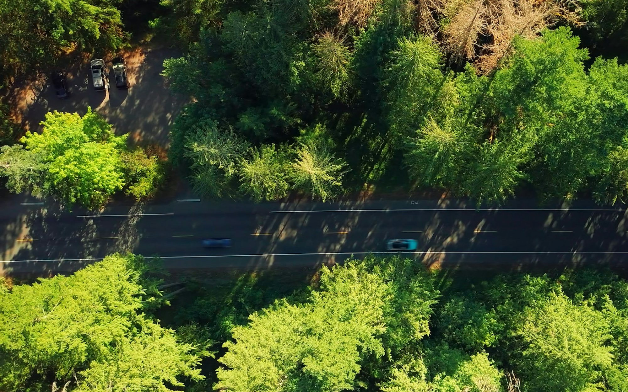 En landsväg genom tät skog sedd från luften, med rörlig trafik på vägen.