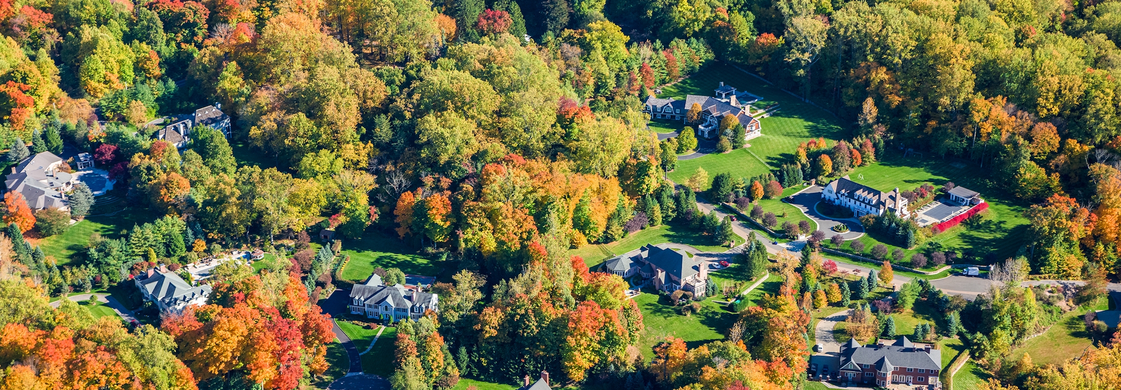 rye brook ny