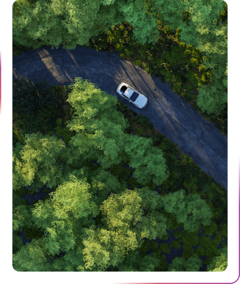 view of the white car driving in the forest
