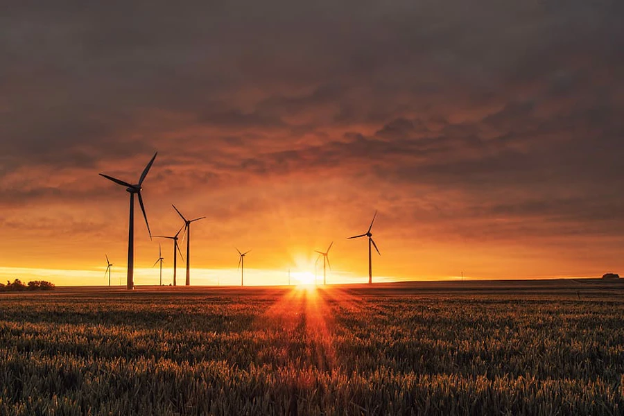 Windmills in an open field in sunset