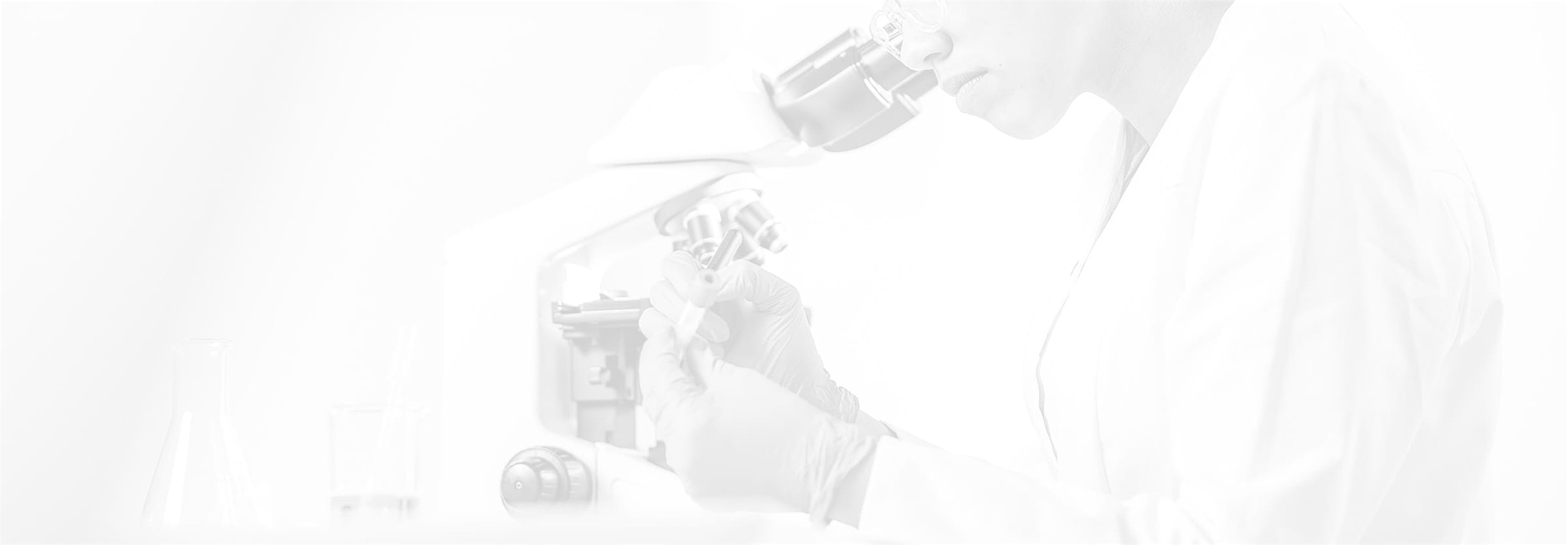 Banner media