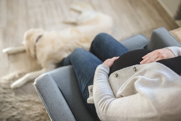 Pregnant person sitting and holding their stomach