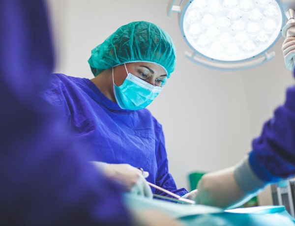 Vet's operating on an animal