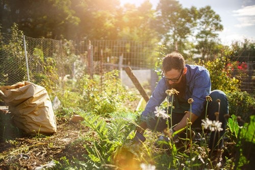 a man in a garden