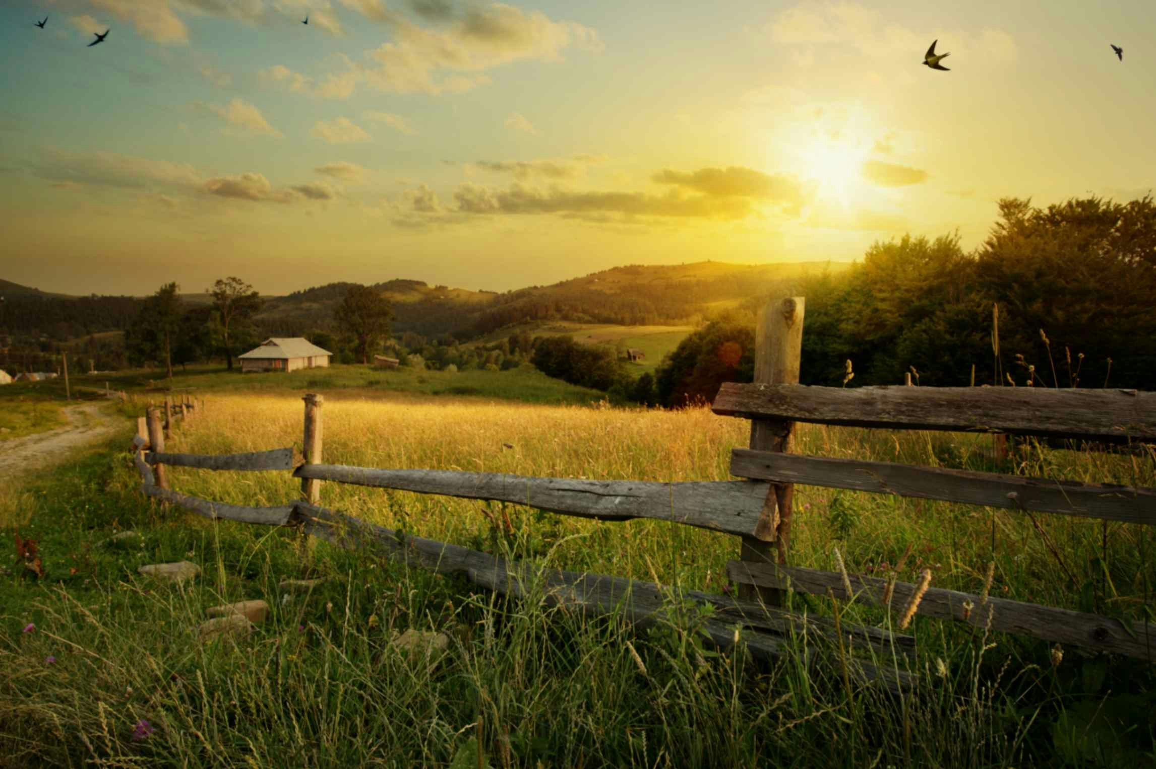 a farm at sunset