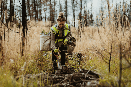 woman working in the forest