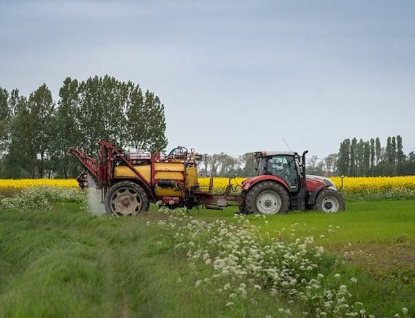 Peninsula Business support