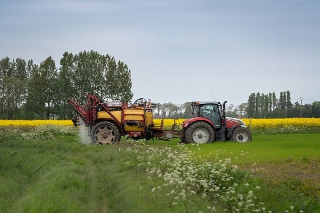 field