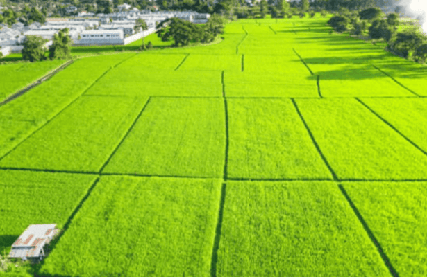 What is Agricultural Property Relief