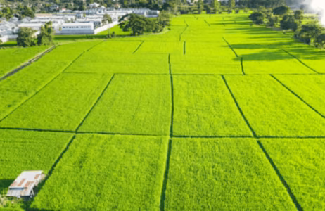 What is Agricultural Property Relief