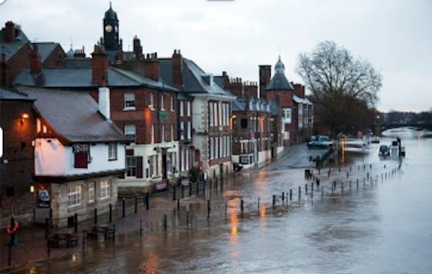 Business Interruption Insurance