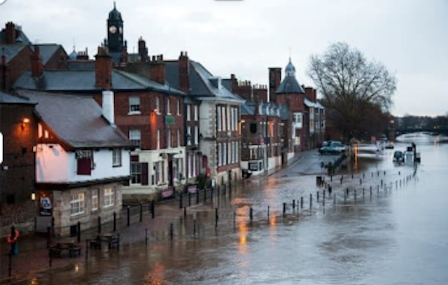 Business Interruption Insurance