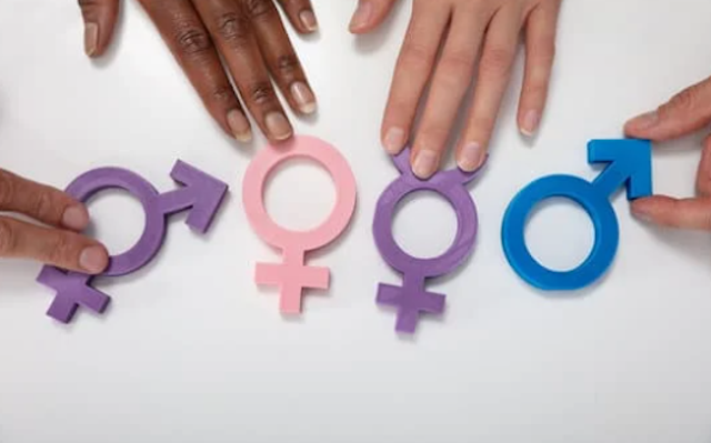 What is Sexual Orientation?