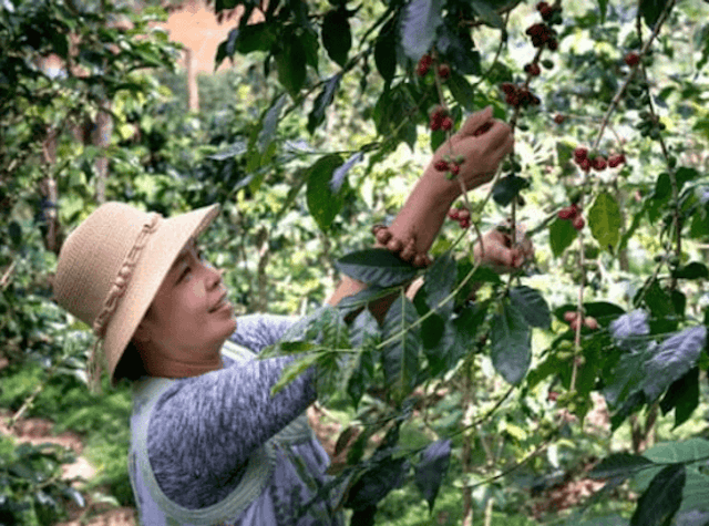 What is the Seasonal Worker Visa?