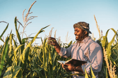What is Agricultural Minimum Wage?