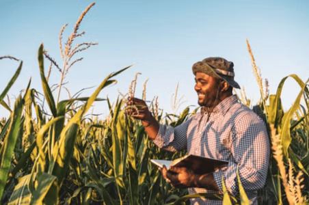 What is Agricultural Minimum Wage?