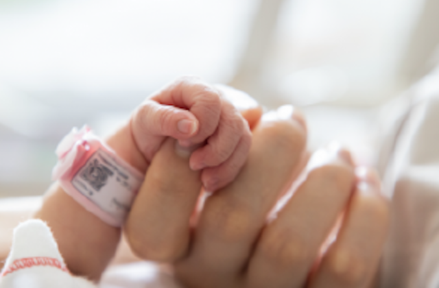 parent holding baby's hand