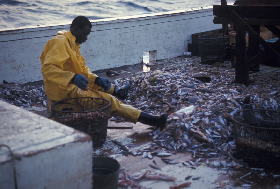 Overfishing and how to prevent it