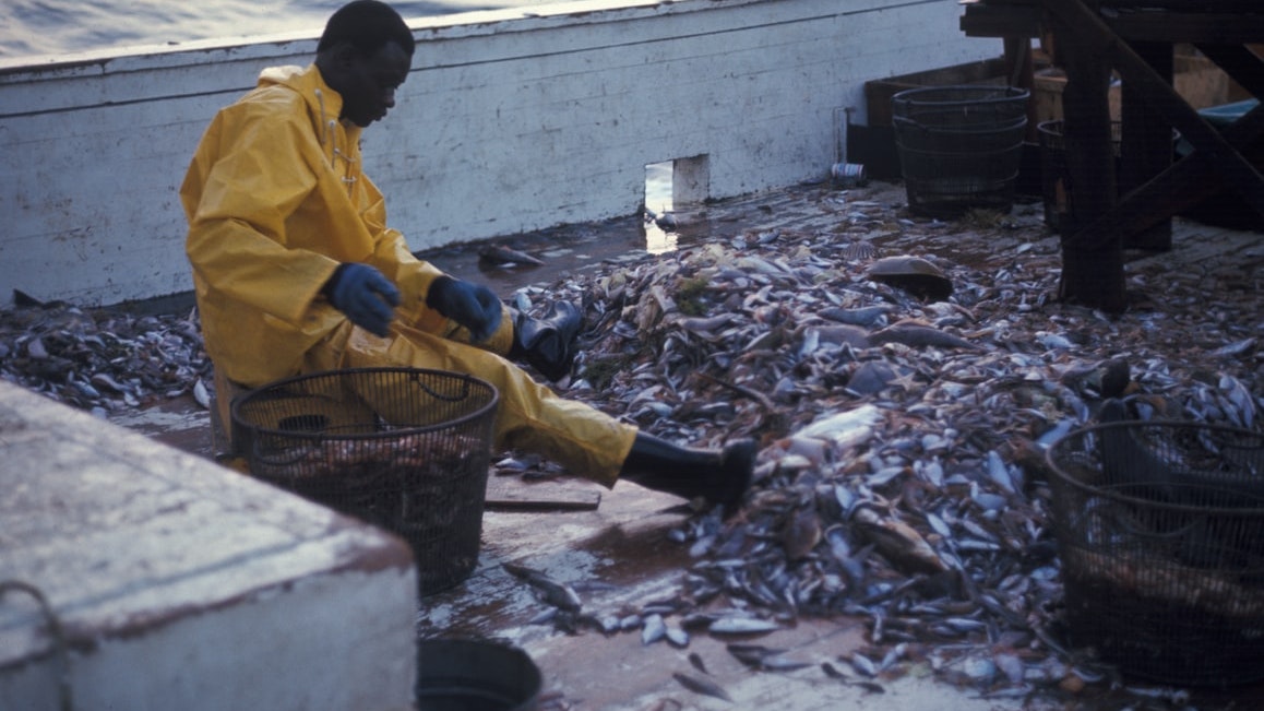 Overfishing and how to prevent it