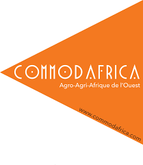 Au Nigeria, BUA Foods acquiert deux navires pour exporter davantage de sucre en Afrique de l’Ouest