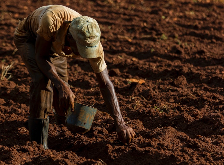Farming The Future: Investing in Nigeria’s agri-tech revolution  