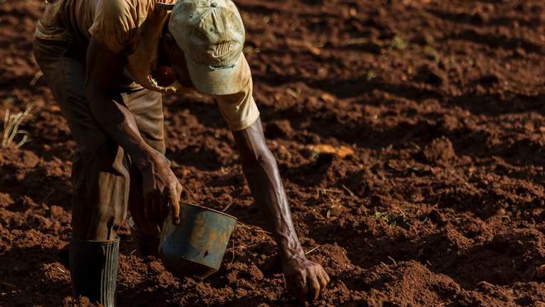 Farming The Future: Investing in Nigeria’s agri-tech revolution  