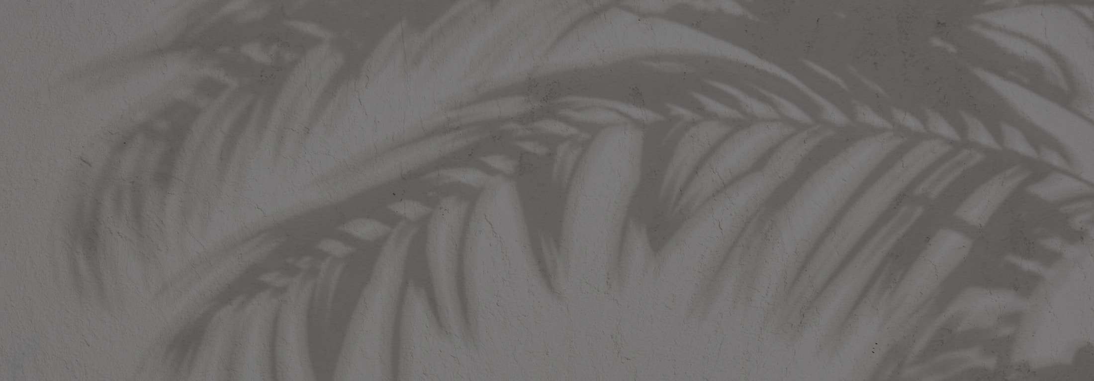 Banner media