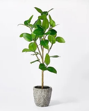 Threshold 36" Faux Banyan Tree: $14.39