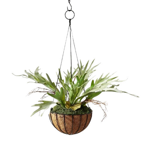 Hilton Carter 13" Artificial Hanging Staghorn Plant: $13