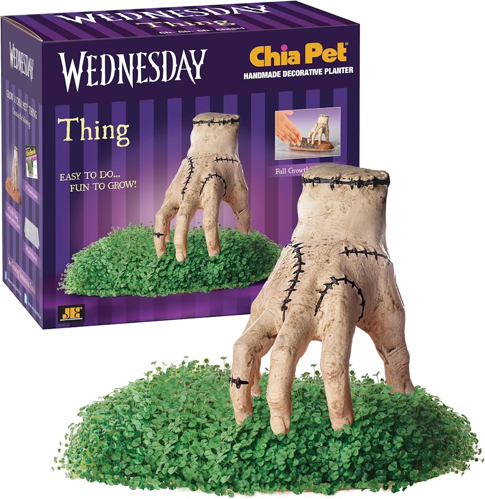 Chia Pet Thing: $8 Chia Pet Thing: $8