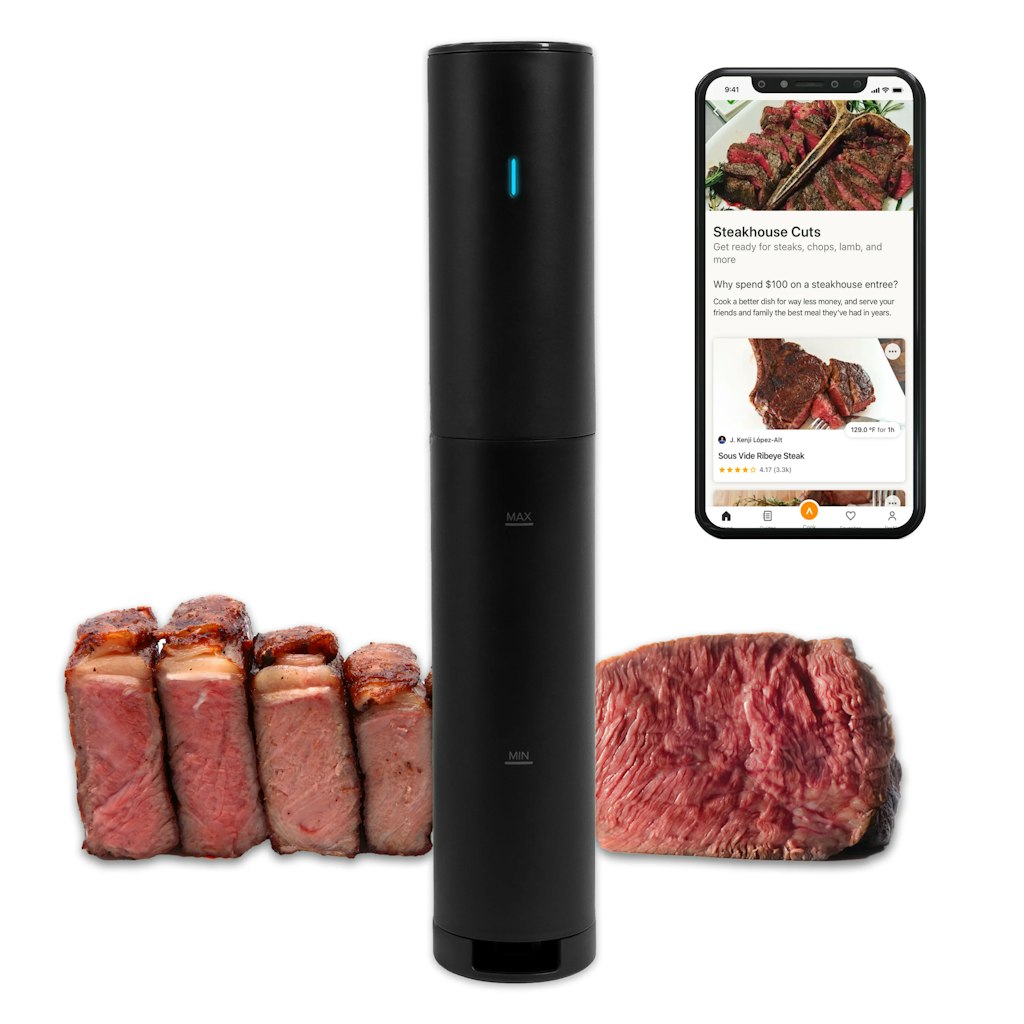 Anova Culinary Sous Vide Mini Precision Cooker: $30