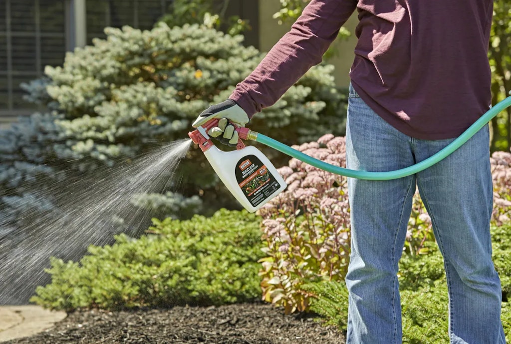 Ortho Pest & Weed Control Deals at Lowe's: Up to 50% off