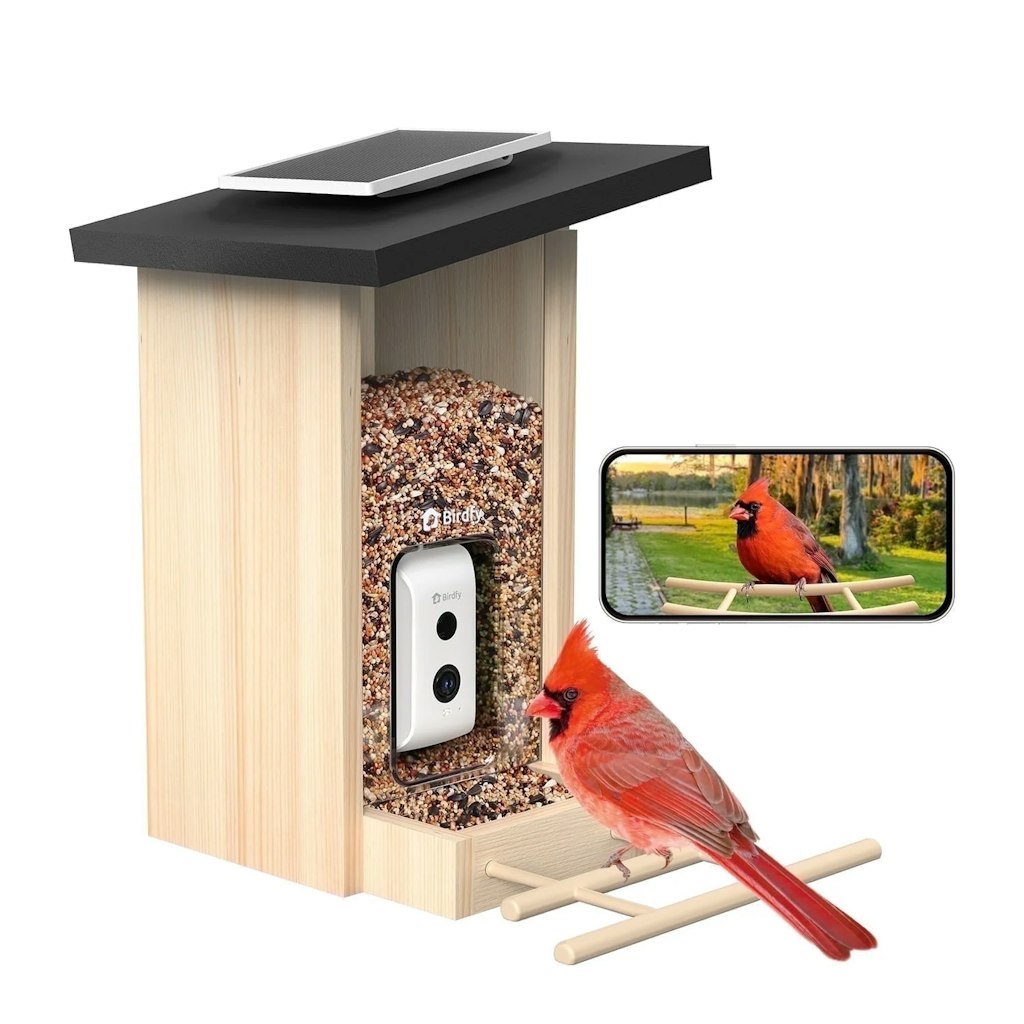 Birdfy Smart Bird Feeder with Camera: $99.99