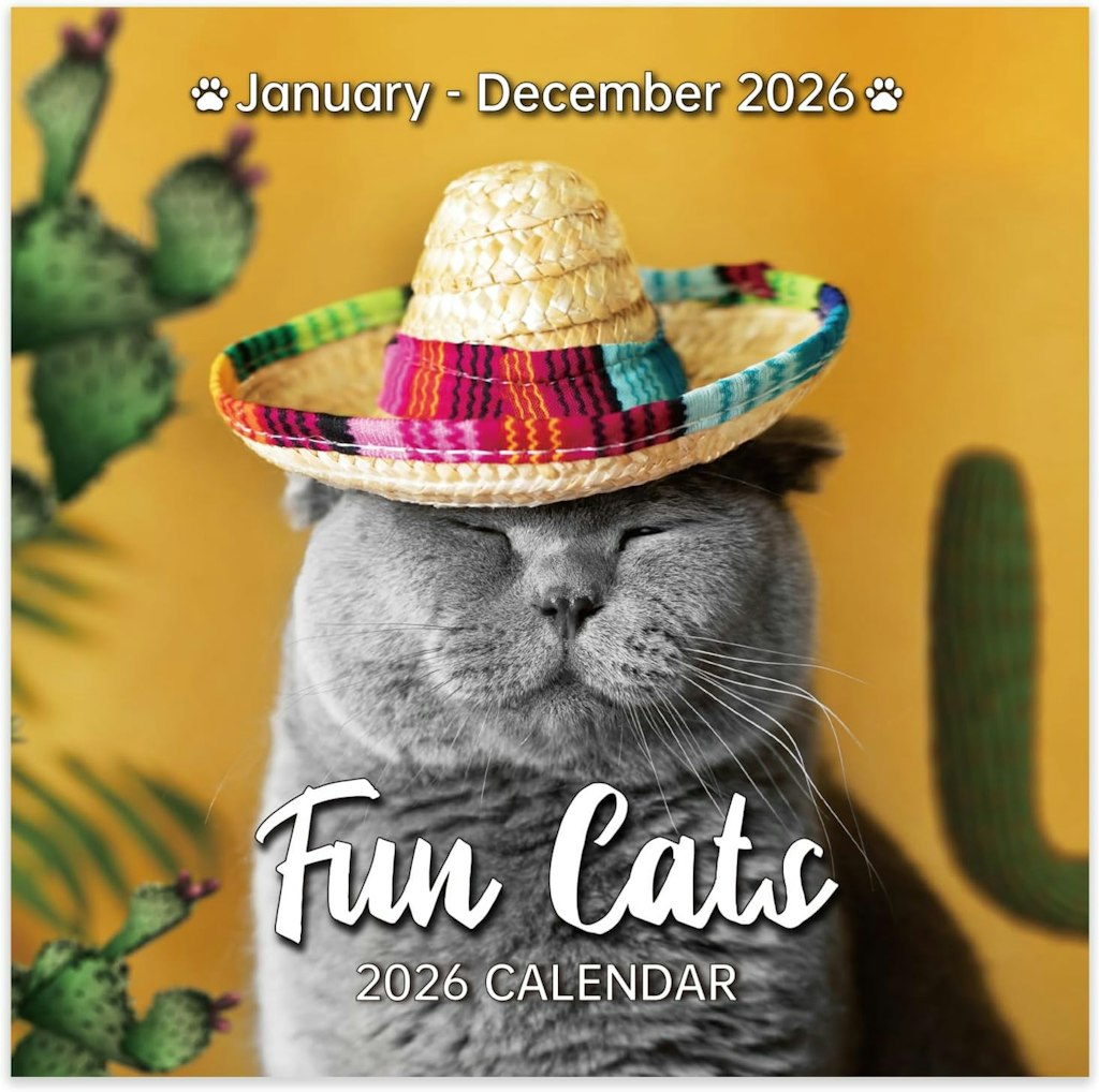 Funny Cat Calendar 2026: $6.29