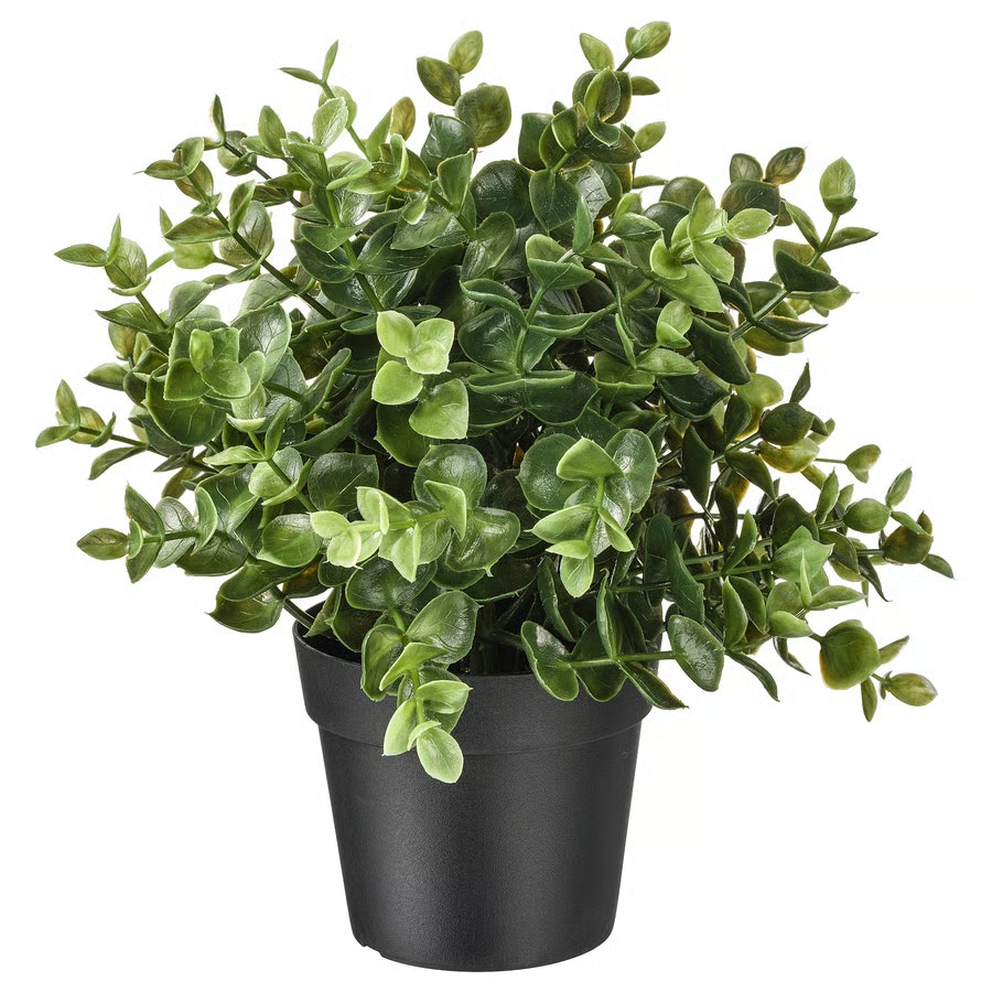 IKEA Window Plants and Planters Black Friday Sale : Up to 50% off