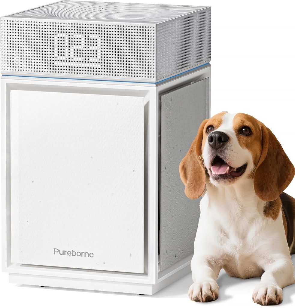 Pureborne HEPA Air Purifier w/ 3-Side Intake: $71.49
