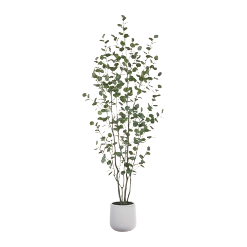 AllModern Decor Markdowns : Up to 60% off + extra 10% off AllModern Decor Markdowns : Up to 60% off + extra 10% off