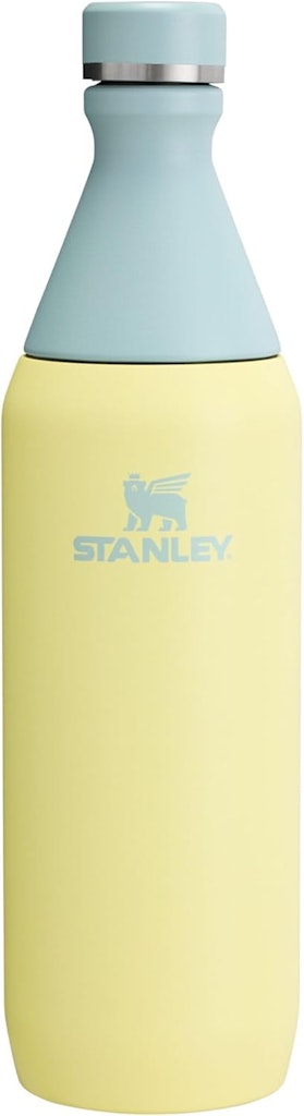 Stanley All Day 20-oz. Slim Bottle: $20