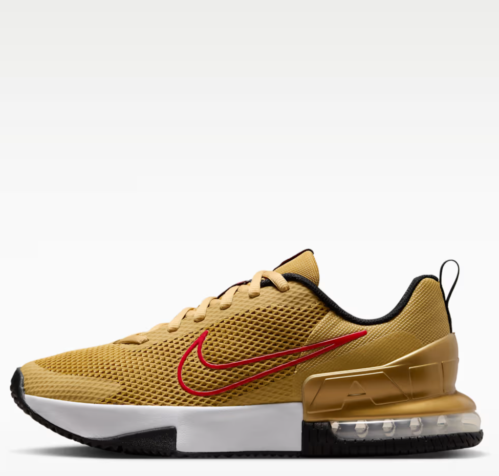 Nike Men's Air Max Alpha Trainer 6 Shoes: $57