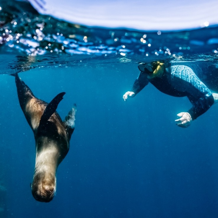 11-Night Galapagos, Ecuador, & Amazon Flight, Hotel, and Tour Vacation: From $1,749 per person