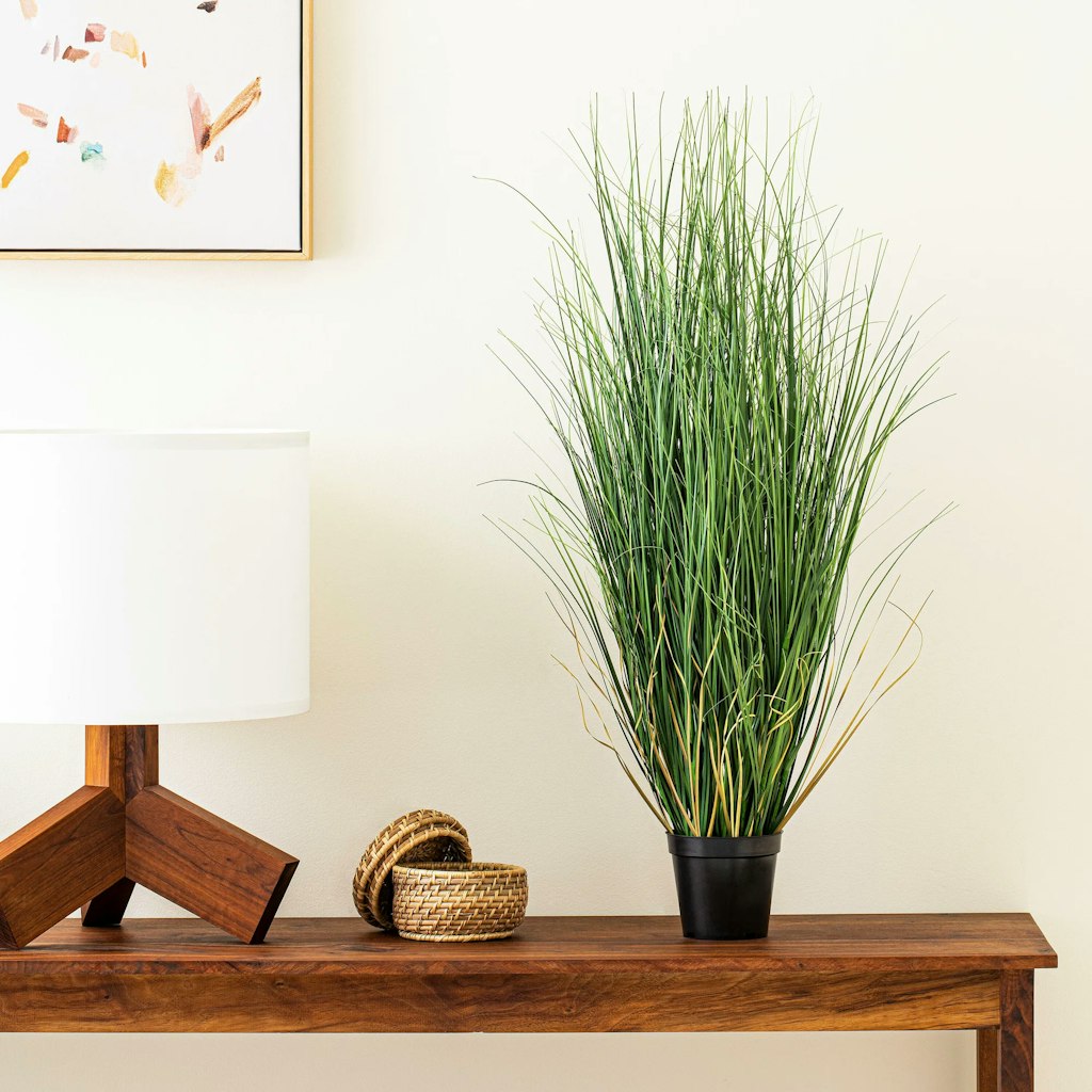 Birch Lane Faux Plants and Trees: Up to 60% off + extra 10% off