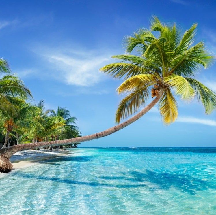 Celebrity 4-Night Bahamas Cruise: From $833 for 2 Celebrity 4-Night Bahamas Cruise: From $833 for 2