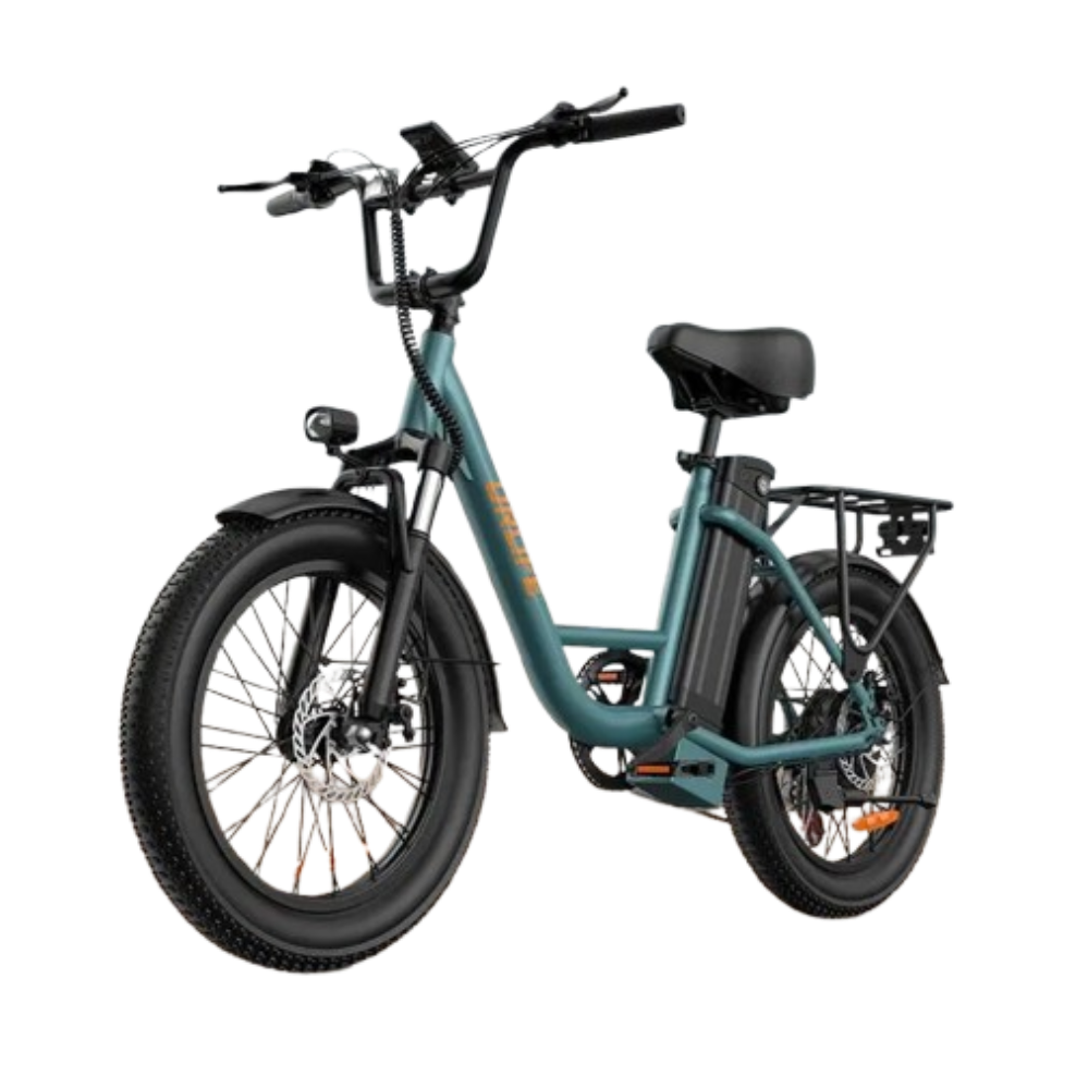 Urlife E20 1,000W eBike: $288