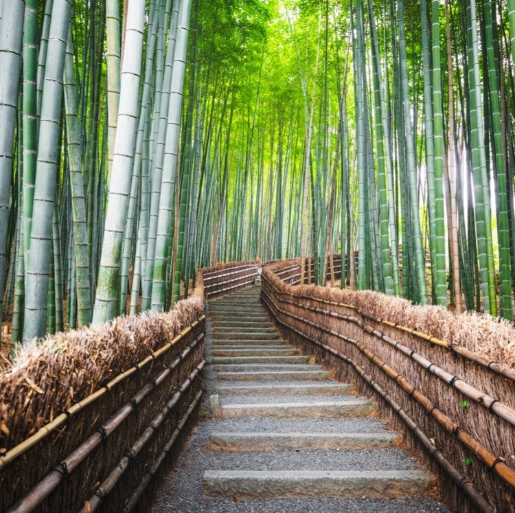 9-Night Japan Flight, Hotel, and Tour Vacation: From $1,949 per person