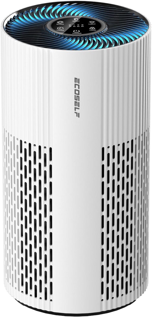 Ecoself 1500 Ft² True HEPA Air Purifier: $19.49