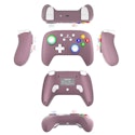 Anbernic RGP01 Wireless Controller for $15 + free shipping w/ first order