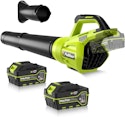 Pulituo 20V Cordless Leaf Blower with 2 Batteries for $38 + free shipping