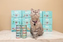 Lova Nala Cat Food Sample: Free
