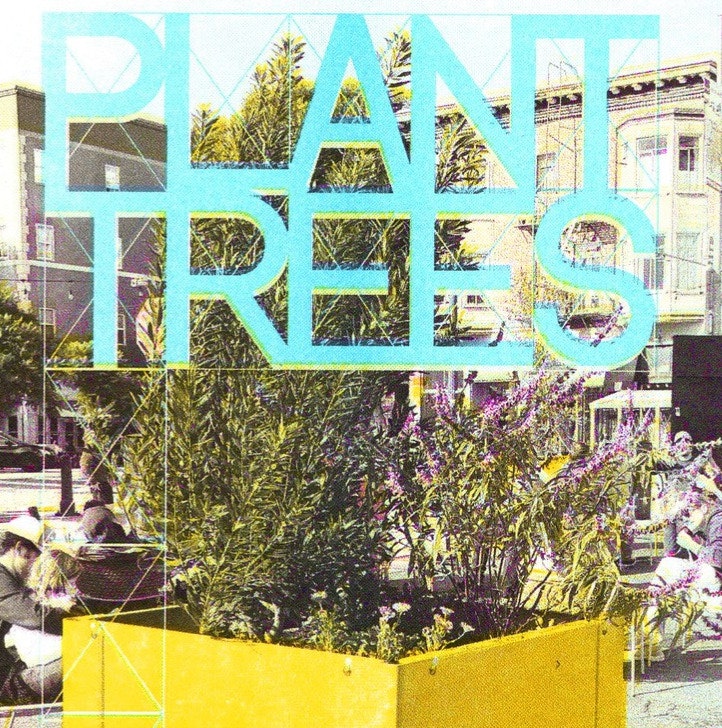 Tree Seedling from Envelope: Free