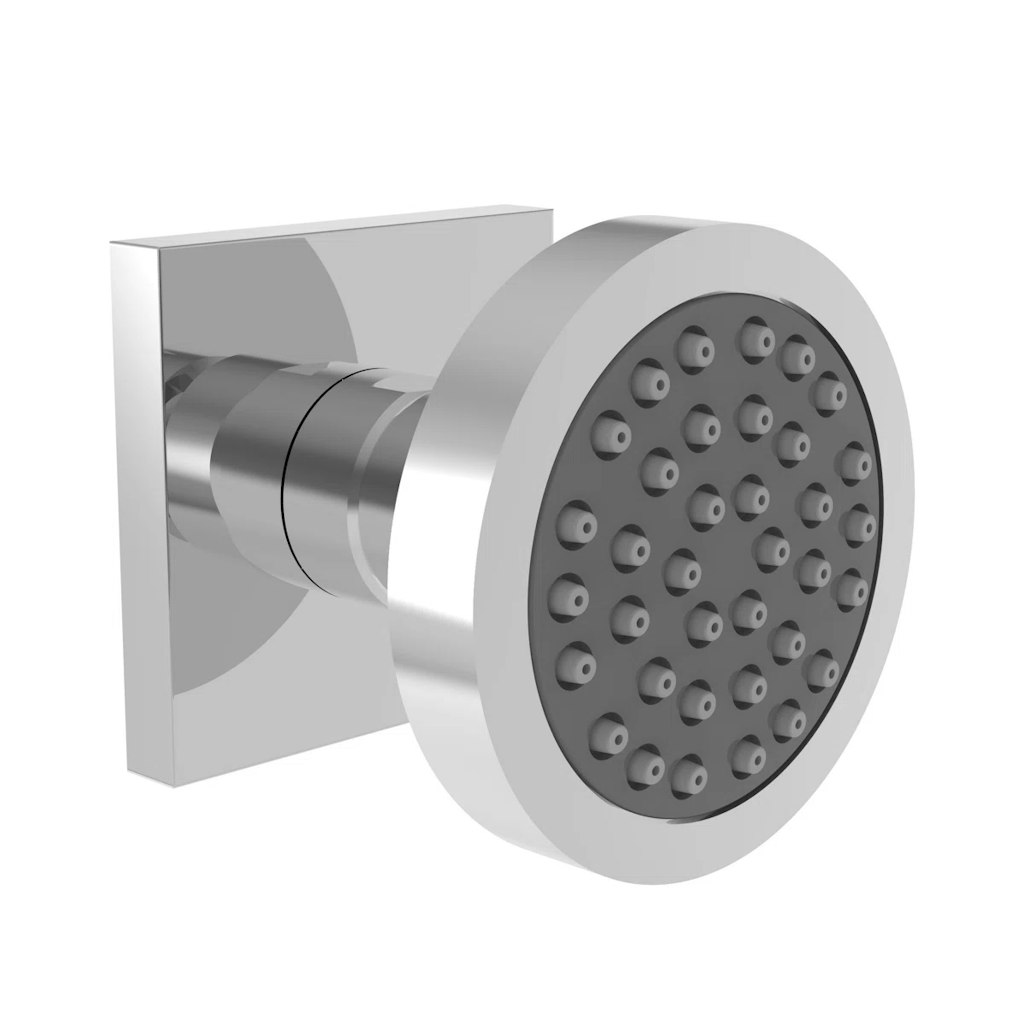 Newport Brass Body Spray Head: $220 + Extra 10% off